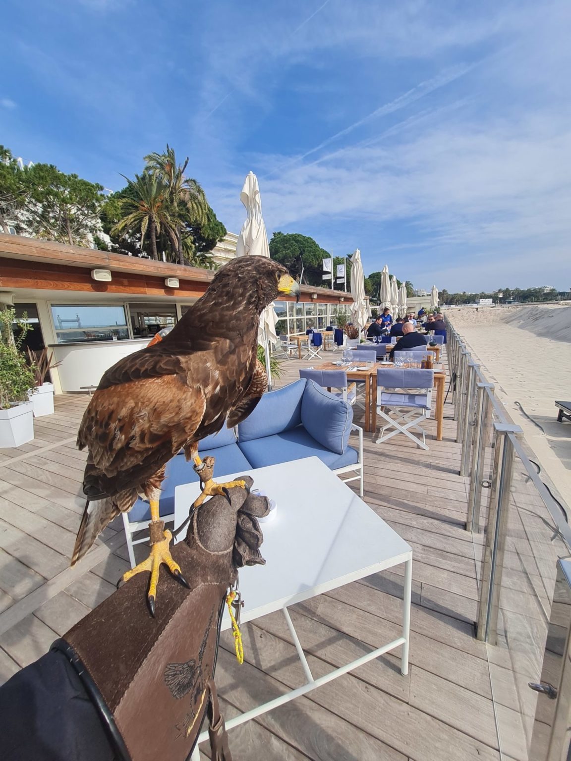 EFFAROUCHEMENT GOELANDS ET PiGEONS RESTAURANT