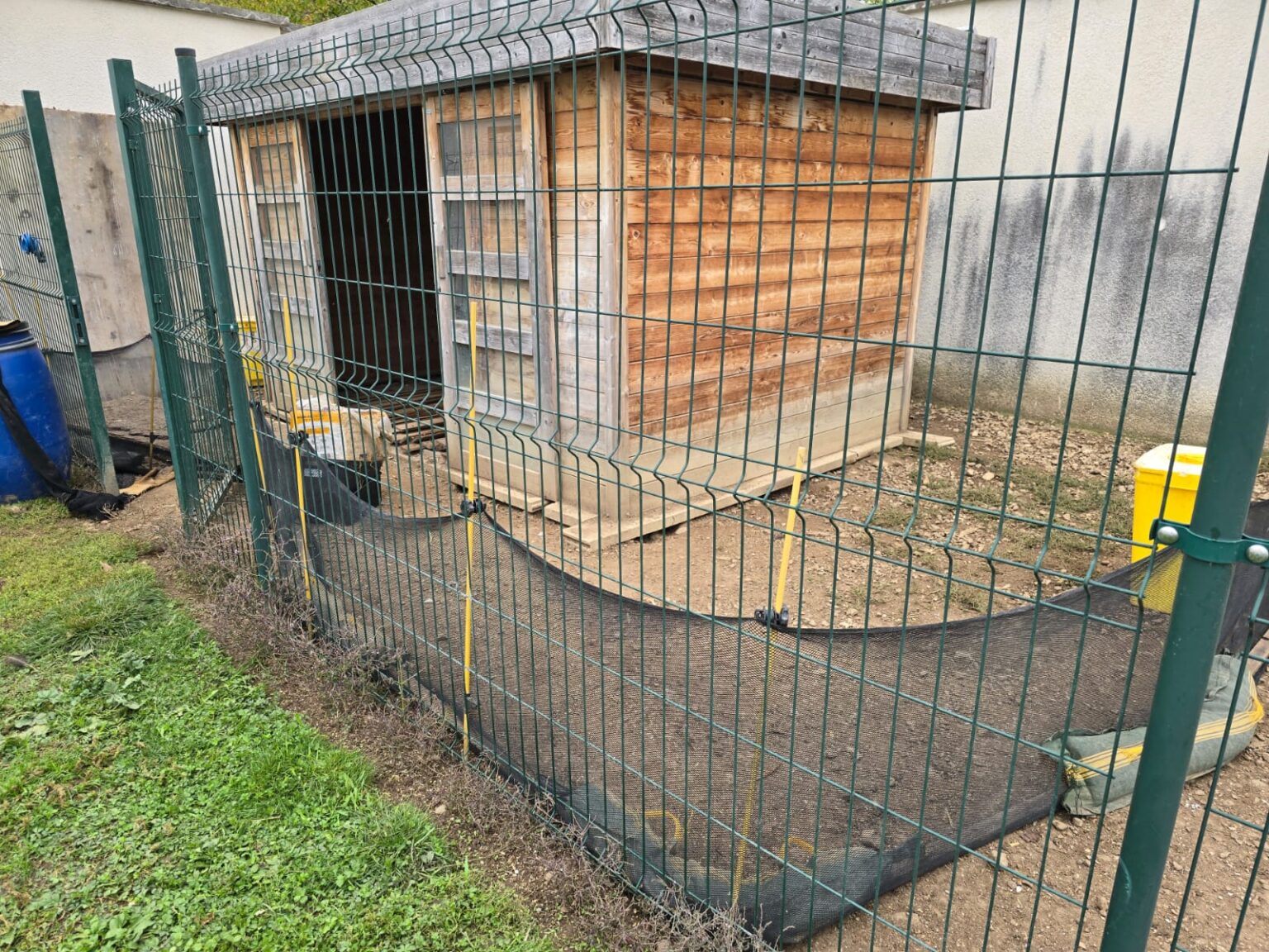 Dératisation naturelle en Isère