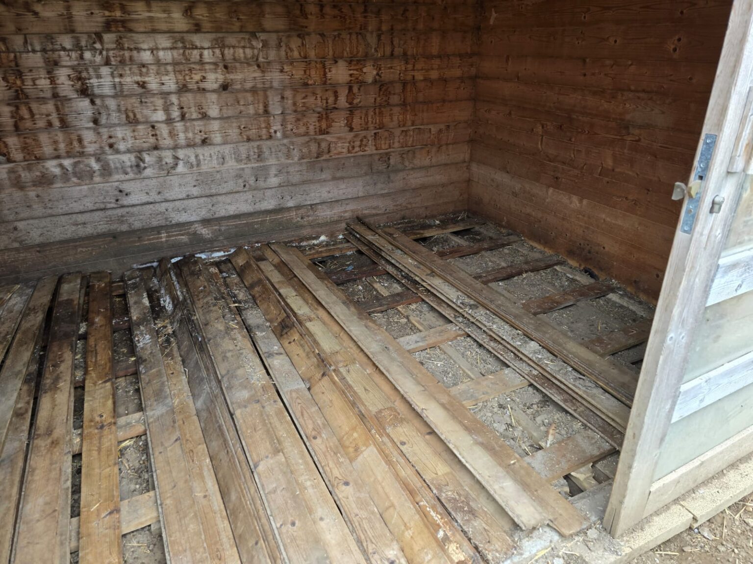 Dératisation naturelle en Isère