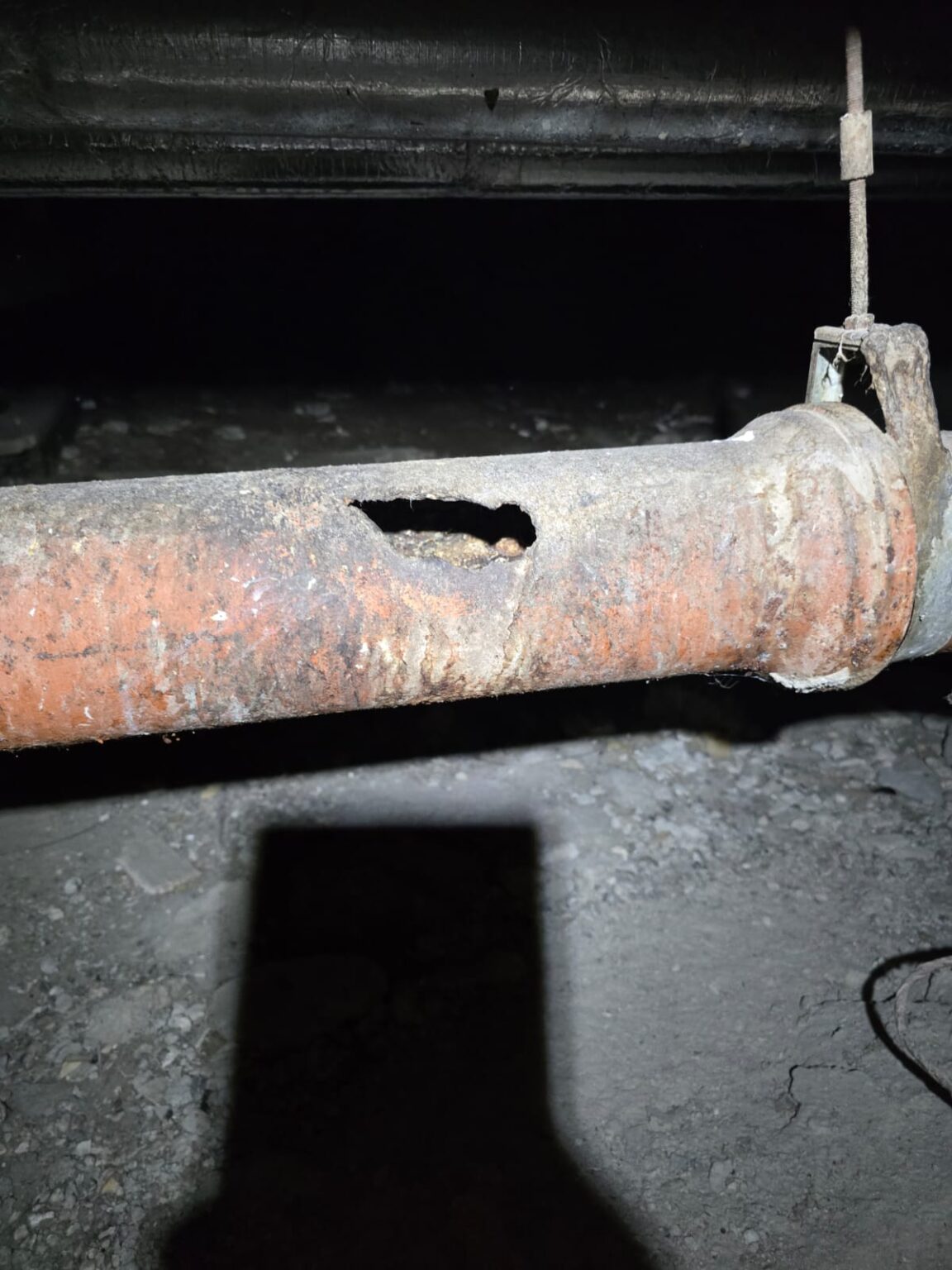 WhatsApp Image 2025-11-04 at 14.51.06