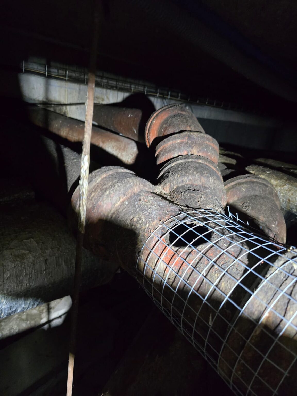 WhatsApp Image 2025-11-04 at 14.51.07